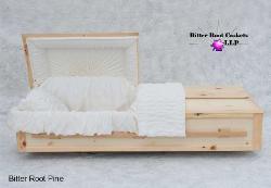 Bitter Root Pine Casket