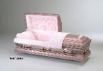 Mystic Stainless Casket